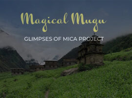Magical Mugu