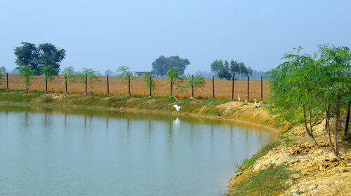 uf58wnmewaterpond