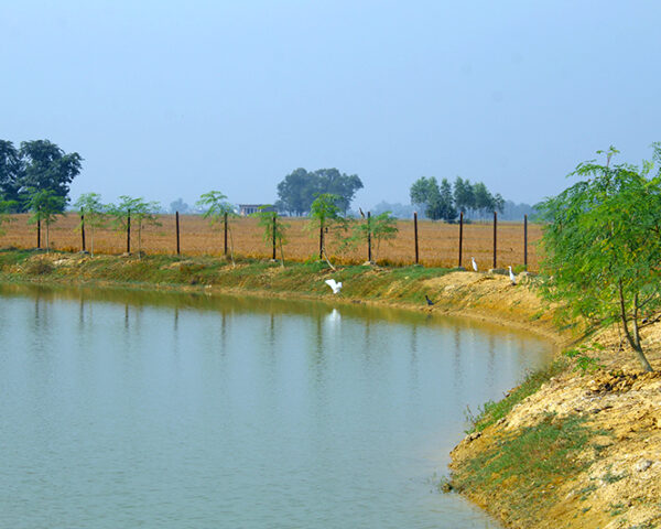 uf58wnmewaterpond