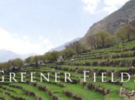 Greener Fields