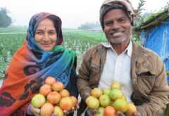 livelihoods