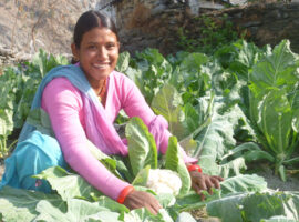 Investing in women farmers