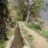pvmujeybcanal
