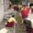 zgckj67fMHSS-Child-Club-2