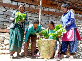 Thrilled to grow off-seasonal vegetables