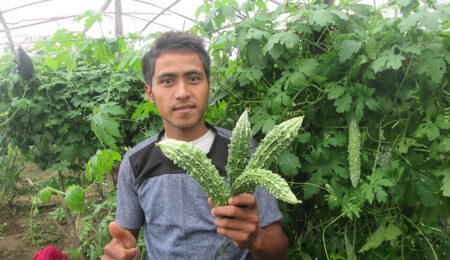 dotikarela