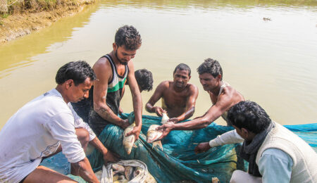 kapilvastu-fish