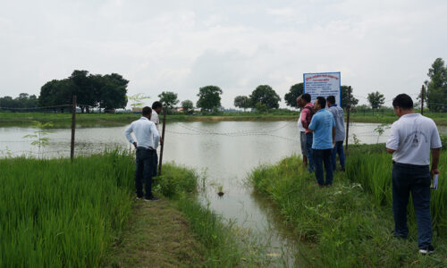 kapilvastupond