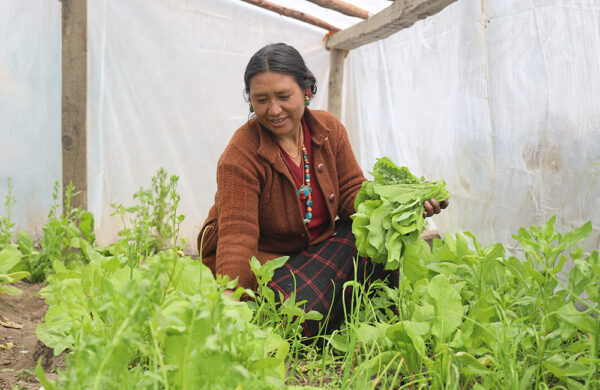 mugusaag