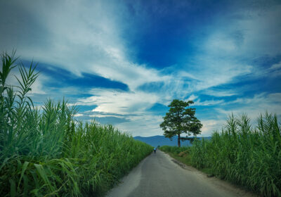 nawalparasiphoto