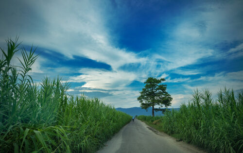 nawalparasiphoto