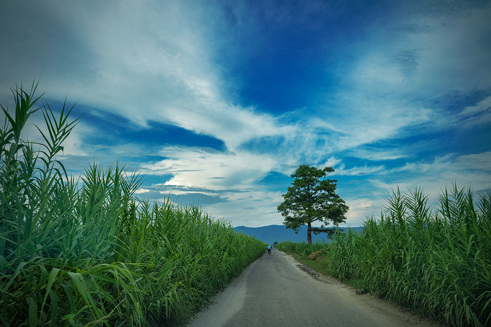 Nawalparasi West Cluster United Mission to Nepal