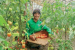 Exemplary agro farmers