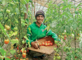Exemplary agro farmers