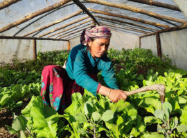 Seeds of Hope