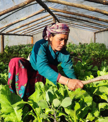 Rukum-janma-seed-story2