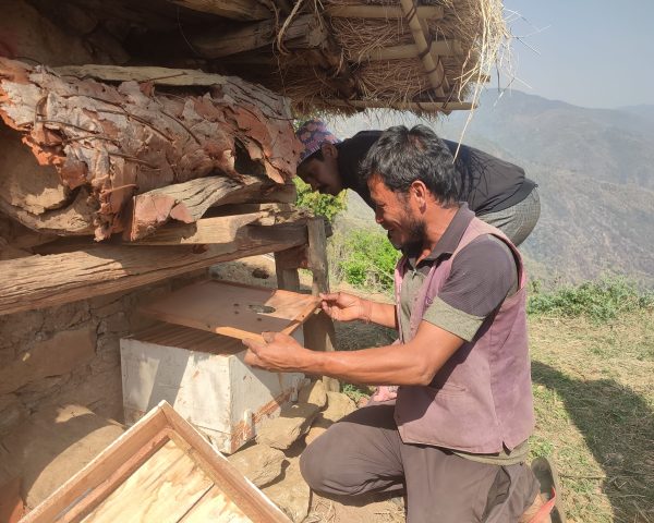 Bee Keeping Support (1)