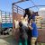 Bringing relief to families displaced from Rasuwa
